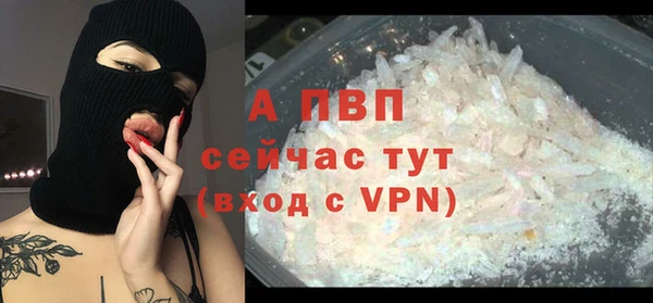 прущие грибы Сафоново
