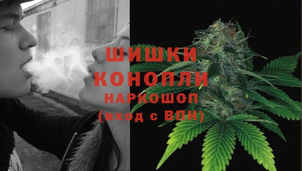 эйфоретик Вяземский