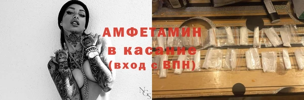прущие грибы Сафоново