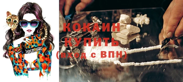 эйфоретик Вяземский