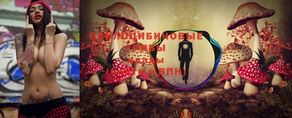 мяу мяу мука Вязники