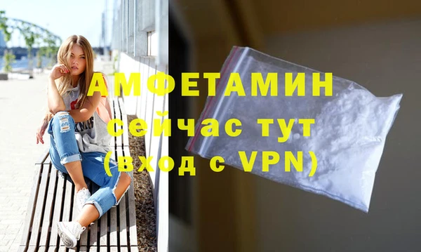 прущие грибы Сафоново