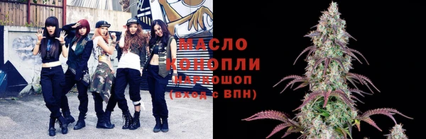 сатива Сатка